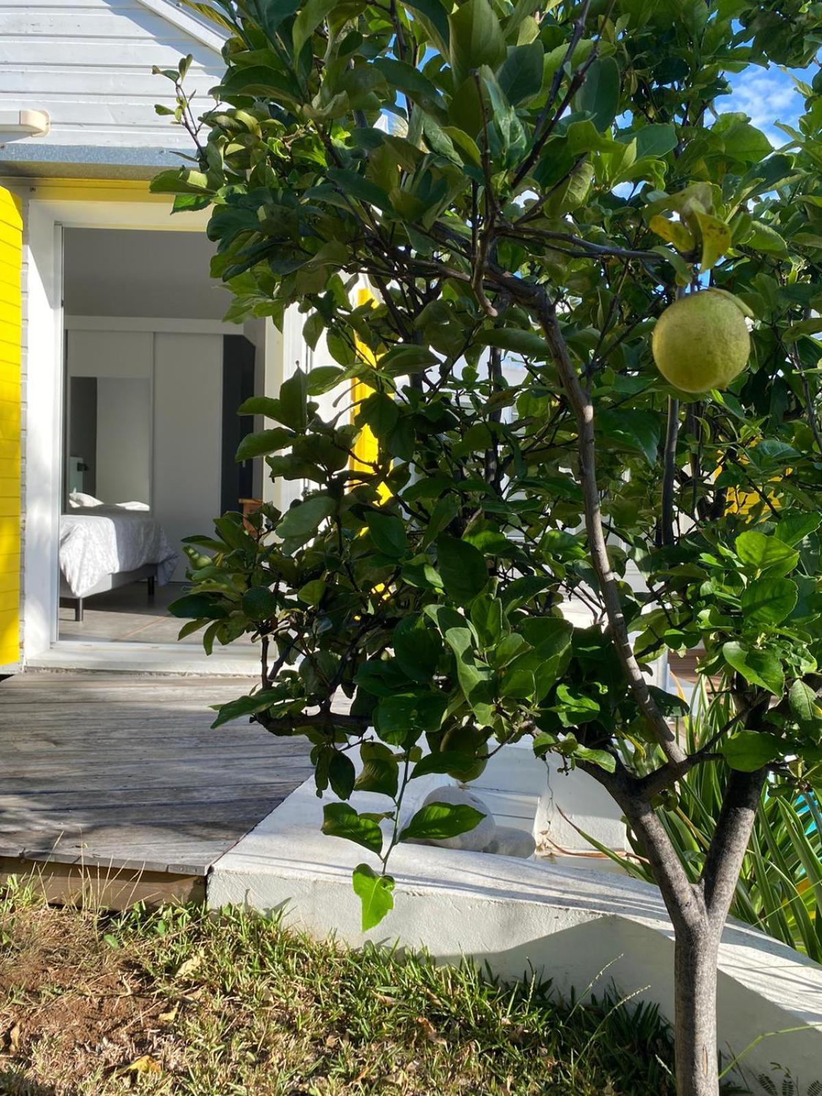 Villa Ylang Saint-Gilles-les-Bains Buitenkant foto